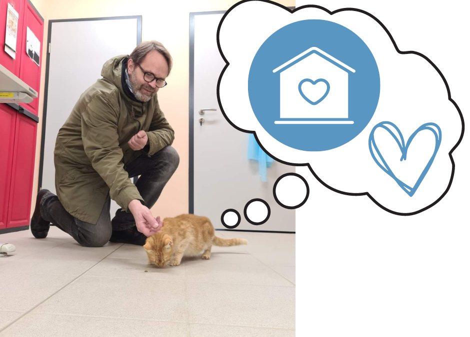 Abby im Zuhause-Glück!